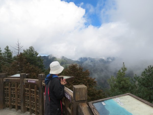 大雪山森林遊樂區觀鳥賞景20190105498313