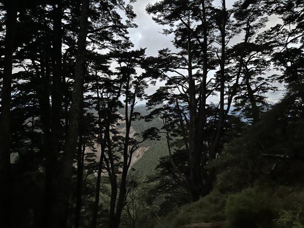 小關山林道神池營地202310222326125