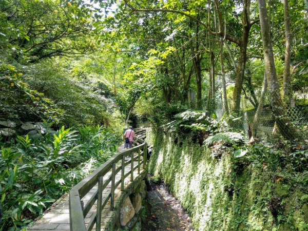 天上山(小百岳#18)經文筆山、清雲路出986963