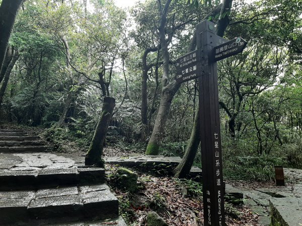 110 年春 登七星山1345737