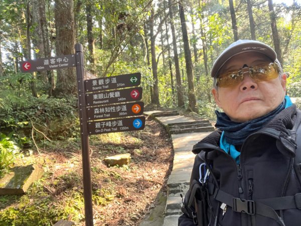 東眼山森林公園2243843