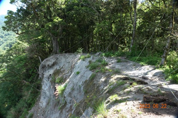 臺東 海瑞 戒茂斯山2193175