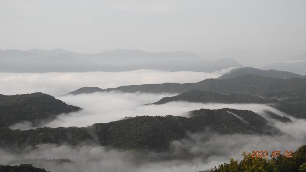 二格山日出火燒雲&雲海流瀑 7/2 & 3 #豔粉蝶 #長尾水青蛾2201607