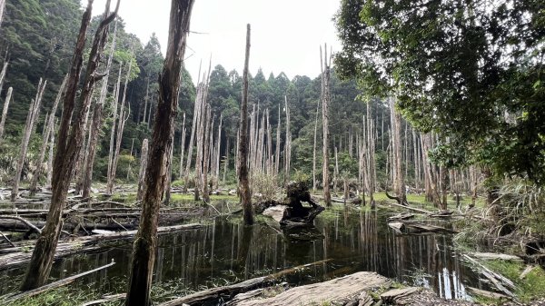 米堤香蕉園-鳳凰山-鳳凰南峰（台寅山） -金柑樹山-金柑樹山西北峰-領頭山東峰-忘憂森林2551827