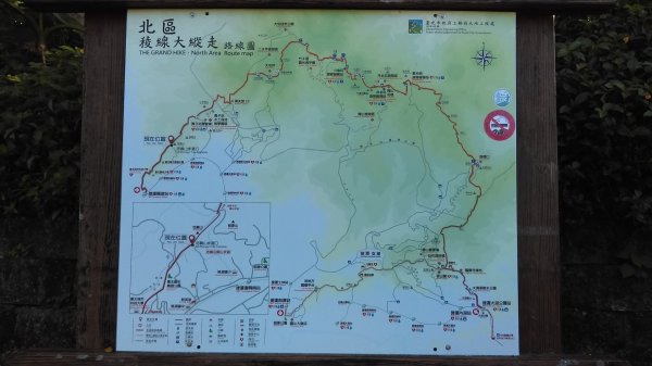 【臺北大縱走1】八爪魚般的樹根步道忠義山800852