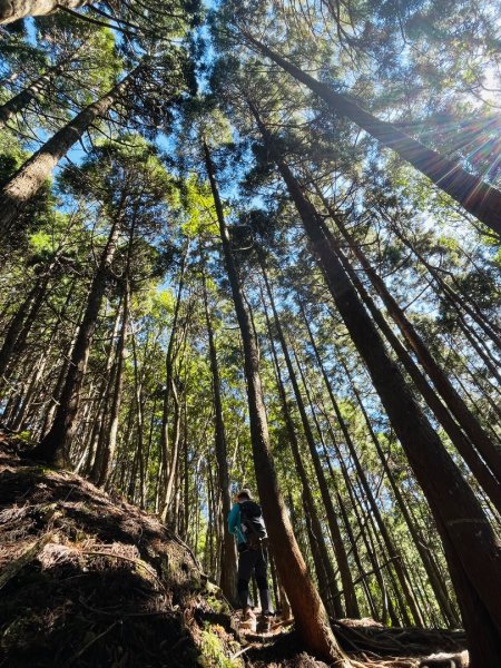 1141116油羅山2946435