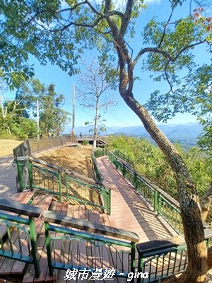 【南投魚池】郊山好視野。 金龍山(槌仔寮山)步道2976310