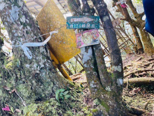 1140319仙山-仙山南峰2738251