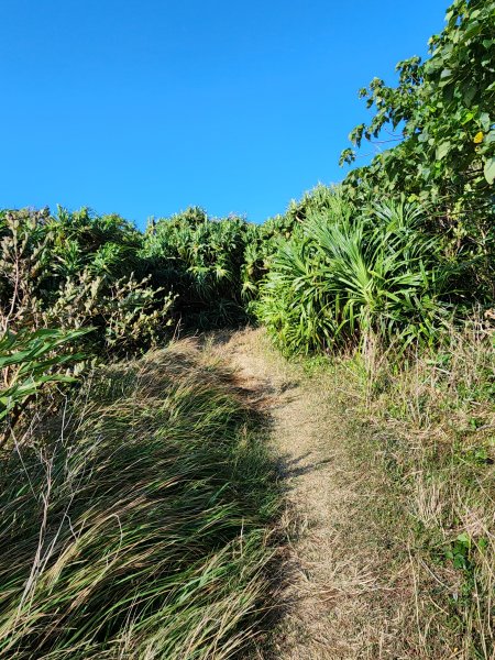 114/1/4國境之南：恆春大縱走2687262