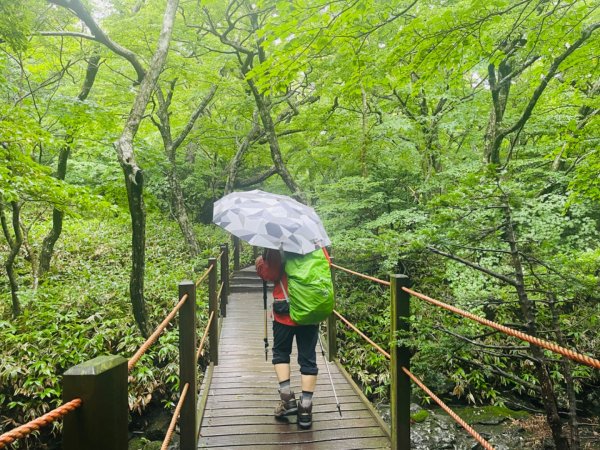 1140811 KR 漢拏山杜鵑花田避難所-紗羅岳觀景臺2860456