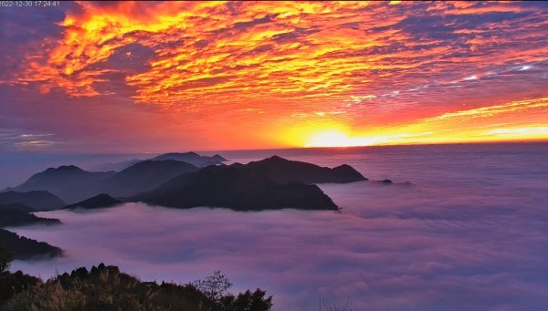 阿里山雲瀑&雲海/富士山直播即時視訊1975838