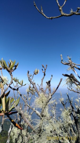 鳶嘴山>>稍來山大O連  攀岩747756