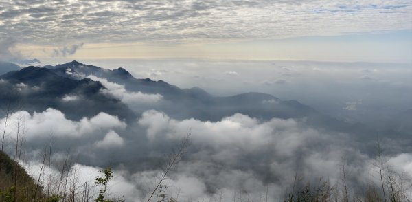 20250119二延平步道2716359