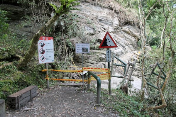 【新聞】玉山國家公園園區熱門步道狀況最新回報