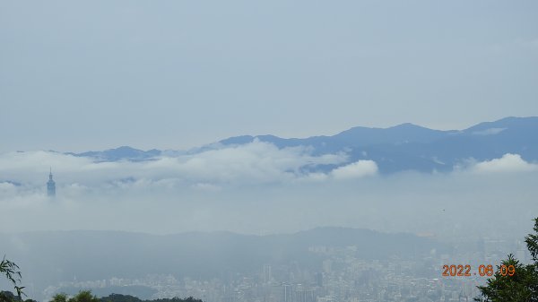 雲山水花鳥蝶 - 雲霧飄渺間的101大樓也是天空之城 ?1731654