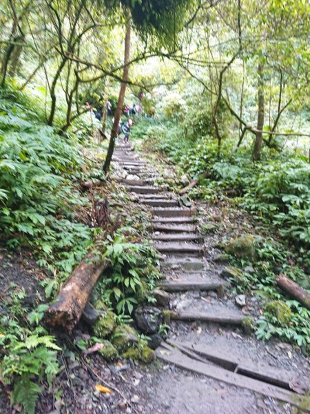 聖母登山步道561410