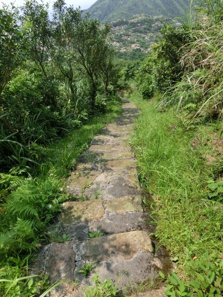 貂山古道．百二崁古道．樹梅坪古道134013