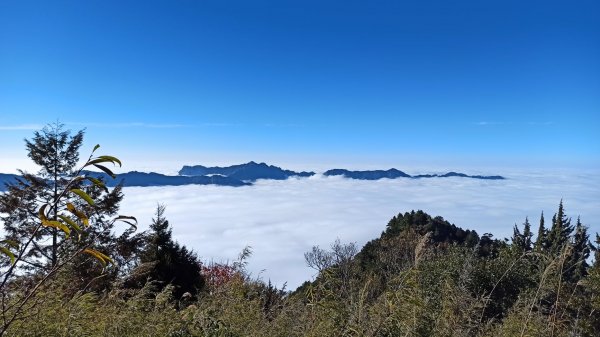 元旦登高望玉山、看雲海1227460