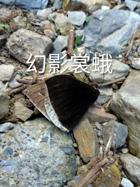 石盤坑 墘溪 橫屏山西峰 橫屏山2890704