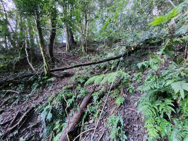 20241124布奴加里山2679117