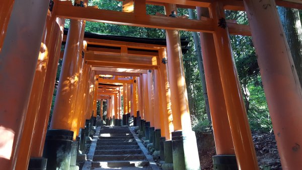 【日本】京都。稻荷山1432281