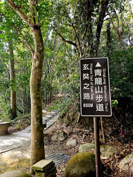 日月潭徒步環潭30公里2955796