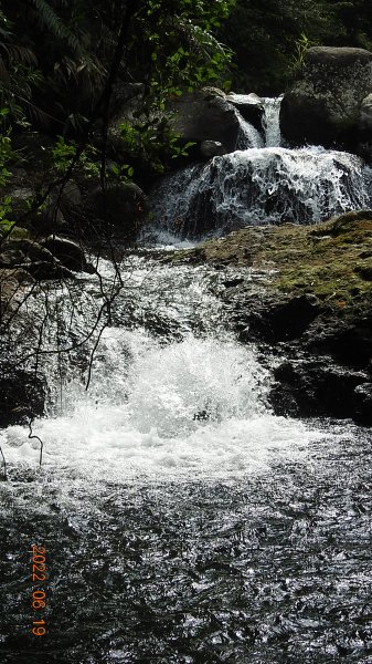 一方淨土，淙淙清流， 蟲鳴鳥叫，蝶飛蟌舞。1739785