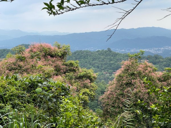 1140601石門山2803240