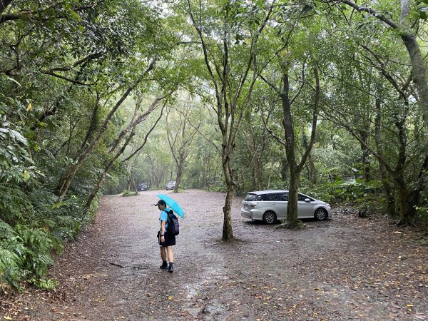 《探訪熊空秘境｜新北三峽雲森瀑布沁涼體驗》2878494