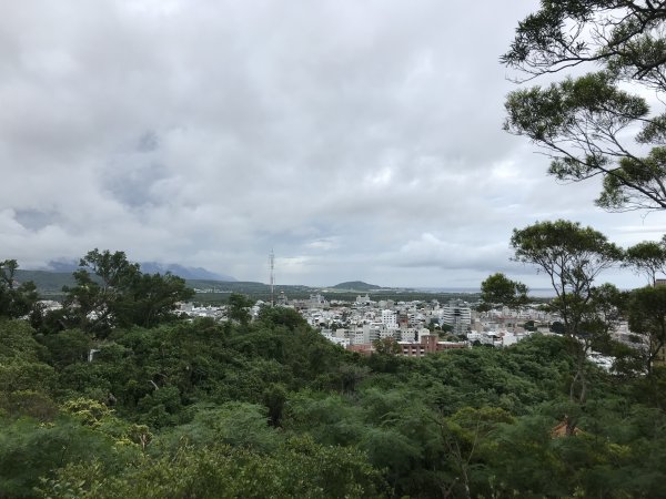 2019.09.07 台東市 鯉魚山步道679532