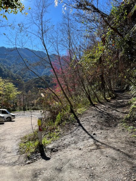 鎮西堡神木群⛰️亞當～夏娃～國王1719244