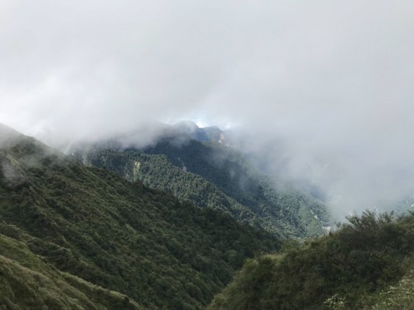 奇萊南華光被八表單攻692102