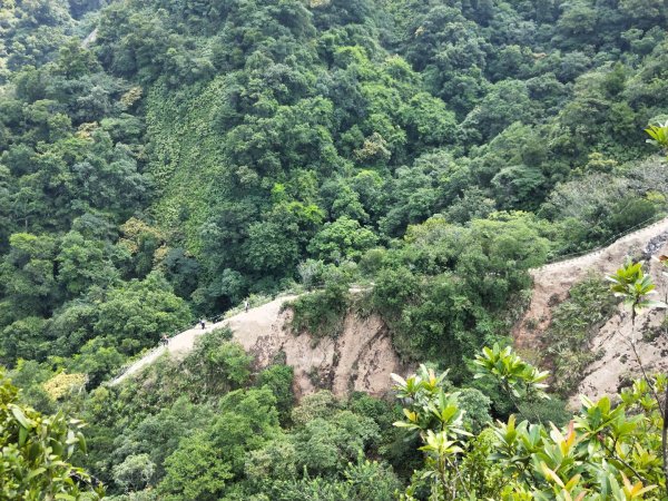 孝子山 慈母峰 普陀山1104702