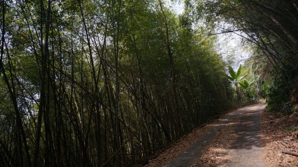 大湖尖山 鳳凰瀑布 紫雲寺1288593