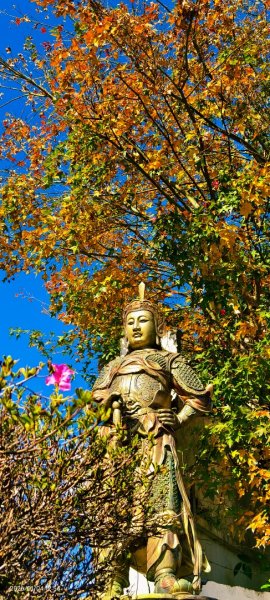 #花卉試驗中心 #永公路500巷 #平菁街42巷 #原住民公園 #士林官邸 1/42976527