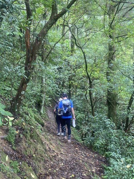【淡蘭古道尋寶任務】淡蘭南路第四段｜𩻸魚堀溪自行車道至縣界公園2926419