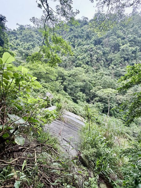 獨立山奉天岩健行趣（雲霧山林間的悠閒時光）   2026.7.303096382