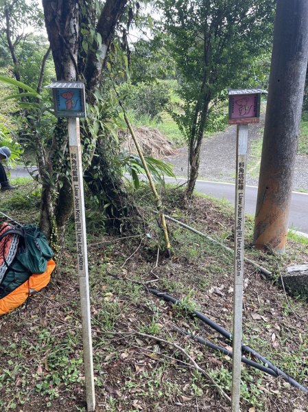 南北豹子廚山2925463