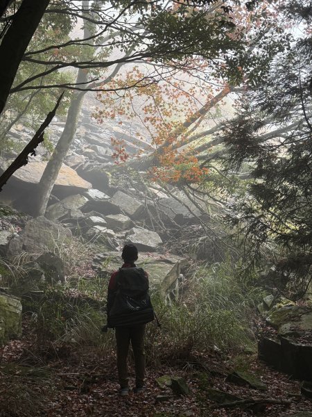 【沒有】【倚天劍】2985263