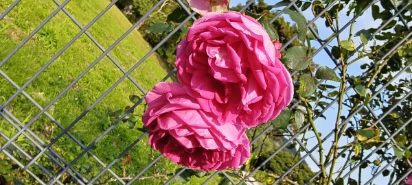 2025/022/22_峨眉湖環湖步道2719293