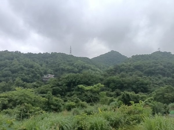 雙溪區平水+外柑腳山去回2784053