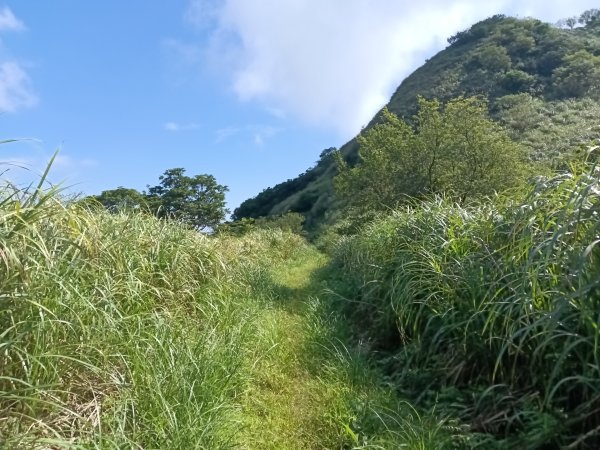 瑞芳區驚險驚嚇+短暫迷途的半屏大瀑布(瀑布稜)+小錐麓古道2886043