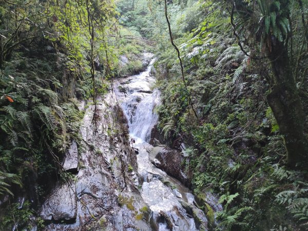 司馬庫斯神木群（西丘斯山、雪白山、東泰野寒山）2203599