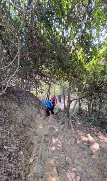 旗尾山(小百岳#)722765479