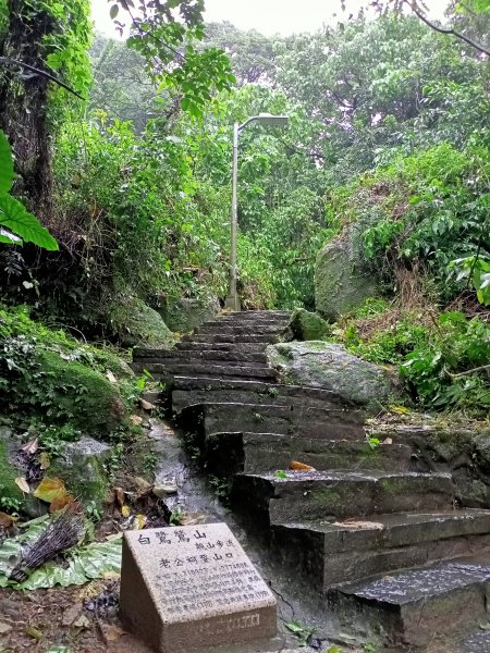 大湖公園 (防災公園) - “就是愛尋寶”【走路趣尋寶，全臺齊步走】1883411