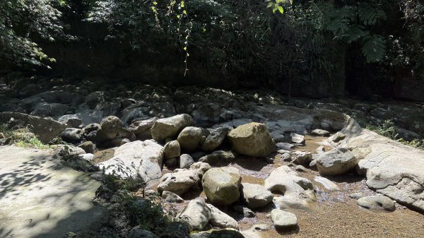 2025/10/15 台北大縱走第7段2916485