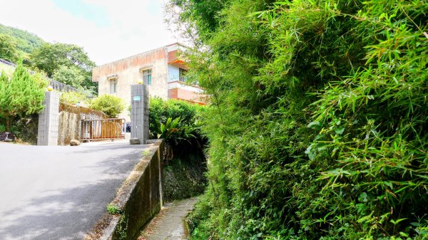 番王厝,番婆厝,王子厝,公主厝2827588