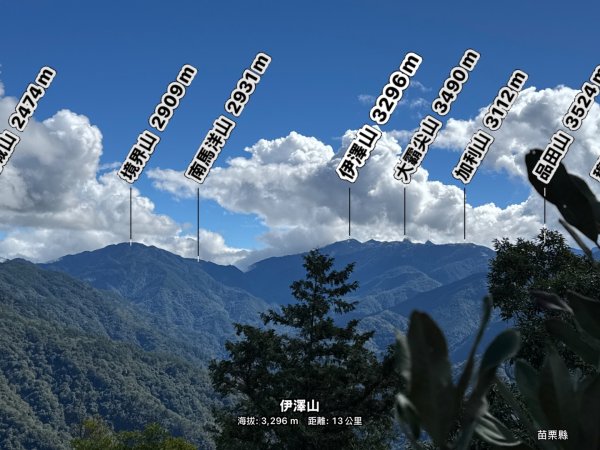 觀霧-榛山步道2926010