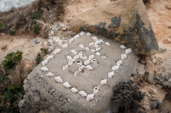 馬祖北竿螺蚌山步道2698750