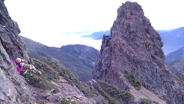 玉山主西東峰之行~1081720